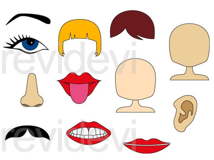 700x525 Body Parts Face Clip Art Graphics By Revidevi