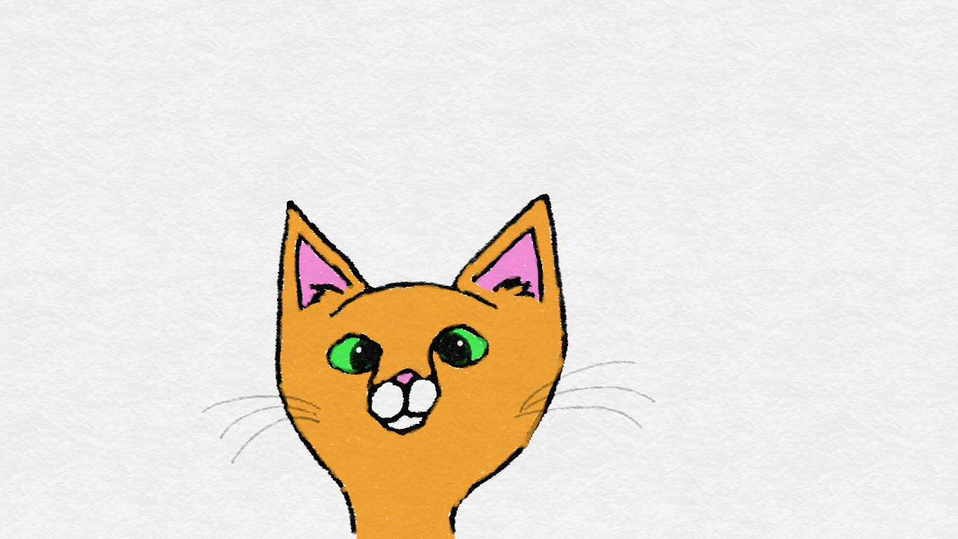 1366x768 Pin By Ice Flower On My Cat Pictures Cat