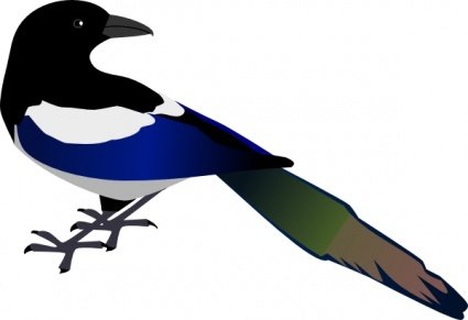 425x291 Free Magpie Clipart And Vector Graphics
