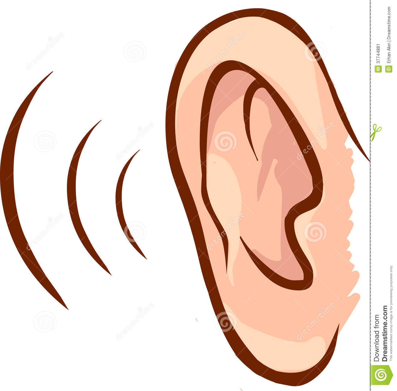 1320x1300 Unique Ear Clipart Collection
