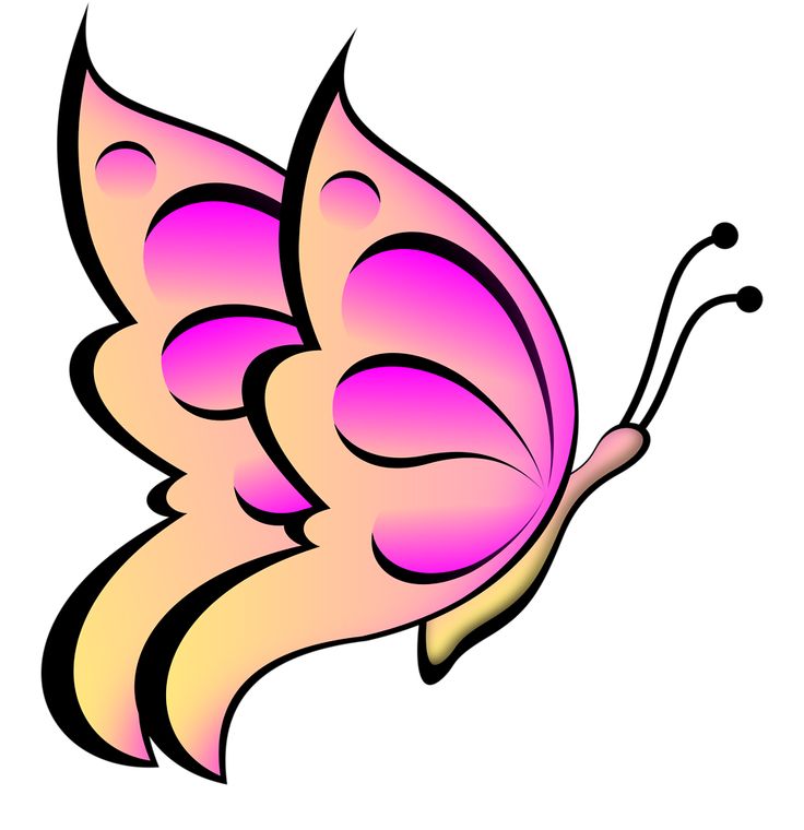 Clipart Flowers And Butterflies
