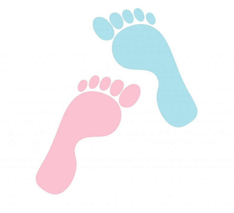 793x720 Printable Footprint
