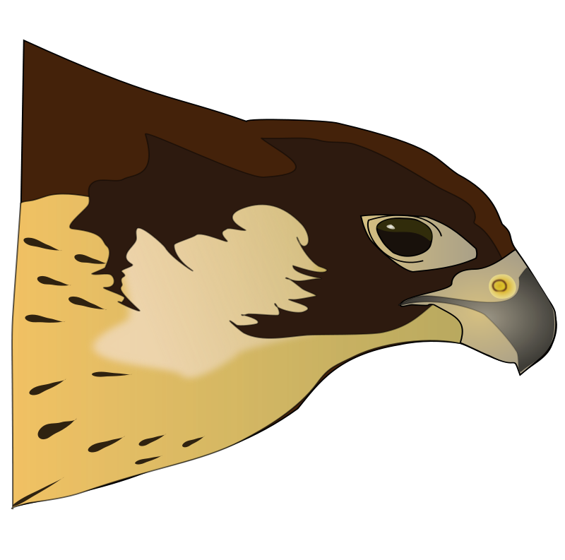 800x793 Hawk Clipart Free Clipart Panda