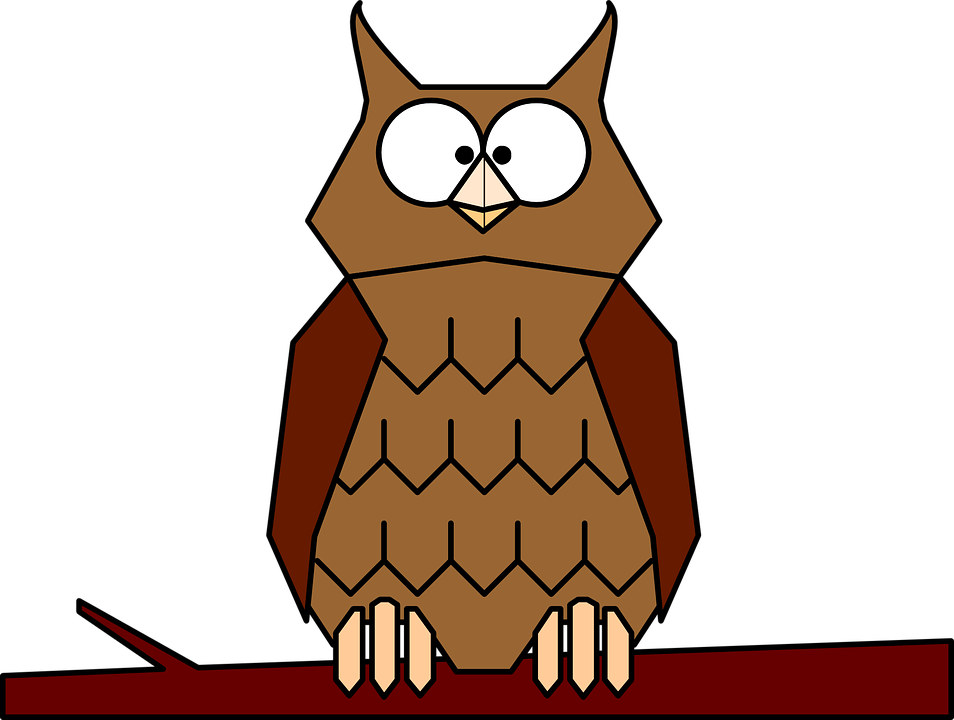 954x720 Brown Hawk Owl Clipart Animated