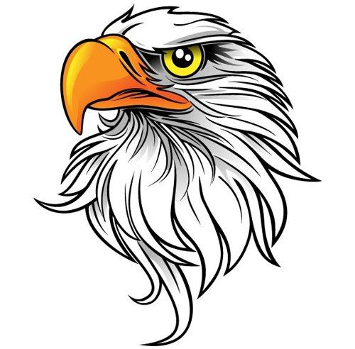 500x492 Eagle Images Clip Art 44 Images Of Eagle Mascot Clipart You Can