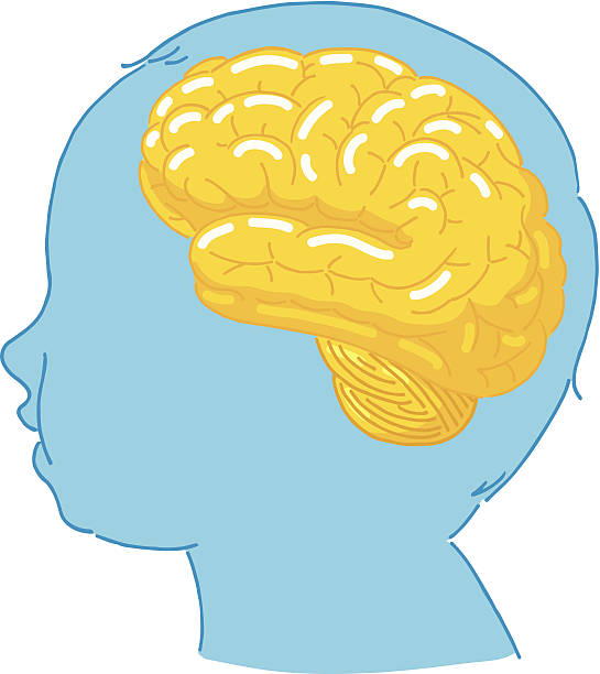 545x612 Nn Models Clipart