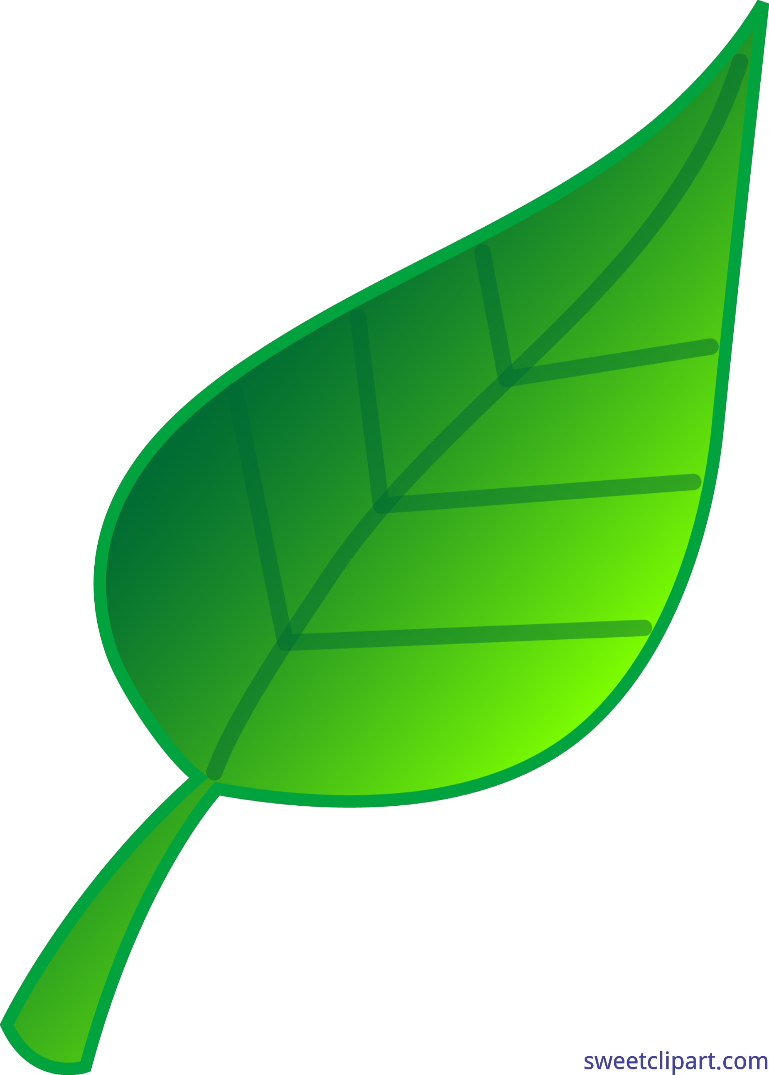 2504x3500 Green Leaf Clip Art