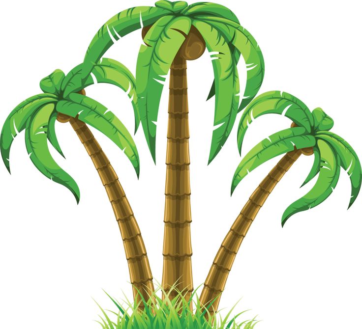 736x670 Nature Clipart Plant