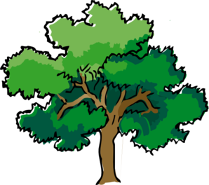 298x264 Oak Tree Clip Art