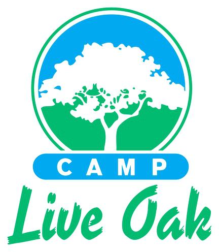 432x496 Live Oak Clip Art Themusicfoundry Future