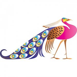 300x300 Free Vector Beautiful Pink Peacock Art Background Beauty Clipart