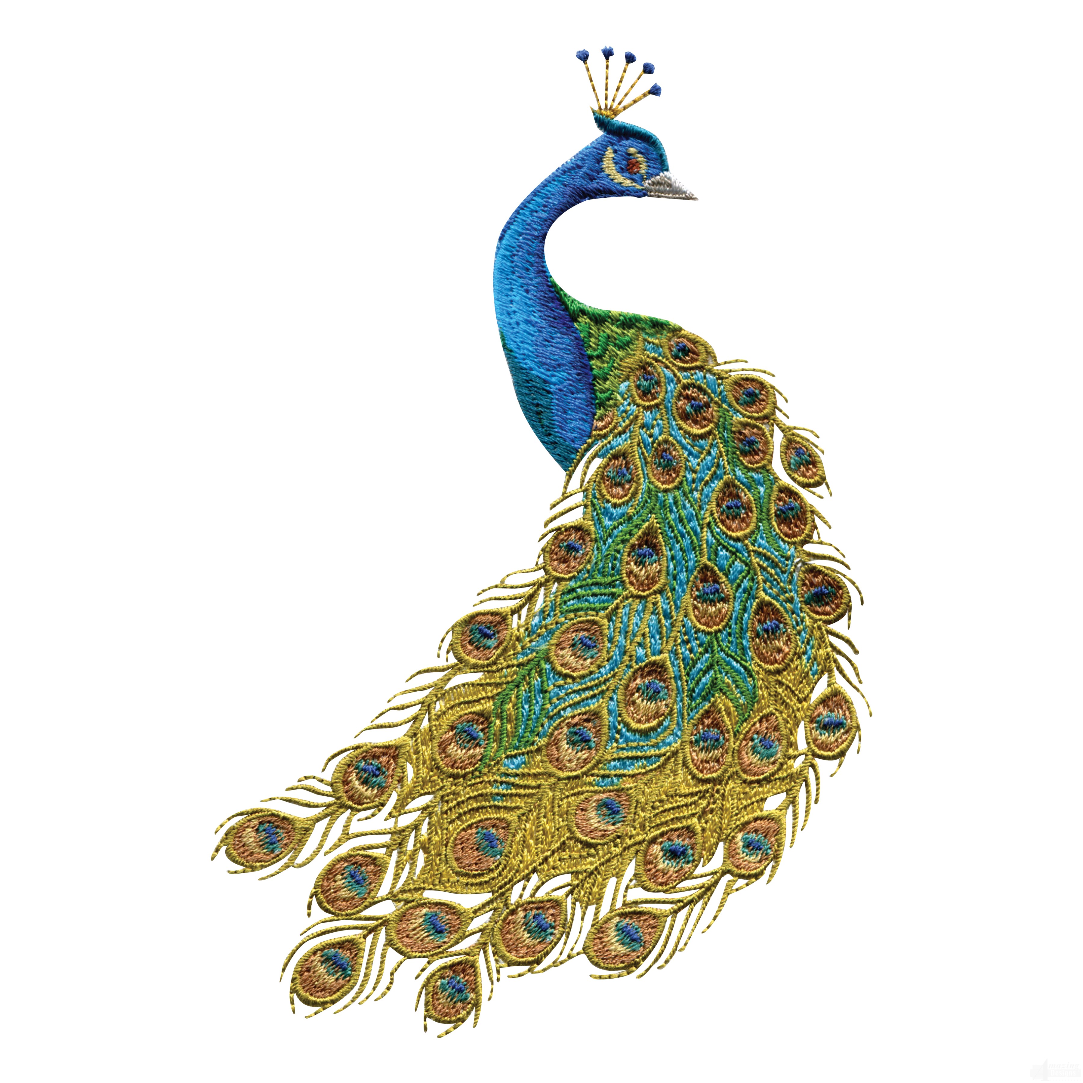 3600x3600 Peacock Clip Art Download