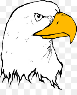 260x320 Golden Eagle Clip Art