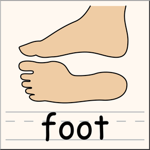 304x304 Clip Art Parts Of The Body Foot Color I Abcteach
