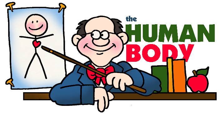 709x364 Human Body Free Clipart