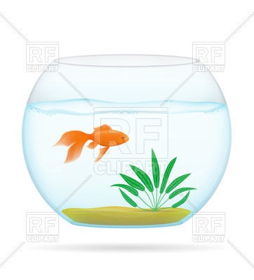 362x400 Goldfish In Transparent Aquarium Royalty Free Vector Clip Art