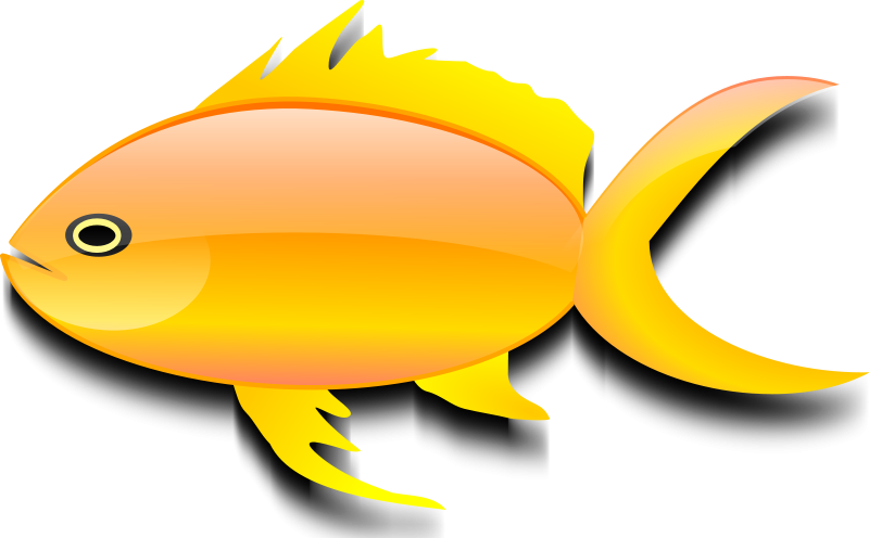 800x496 Free Goldfish Clipart Goldfish Clipart Clipart Panda Free Clipart