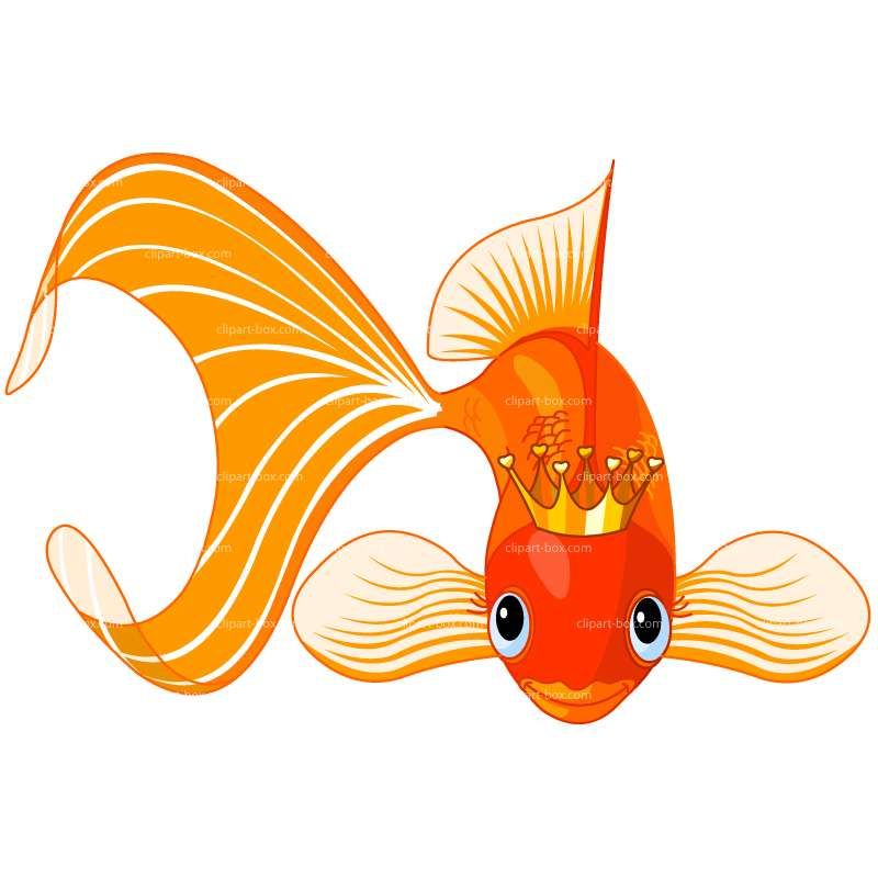 800x800 Coloring Pages Clip Art