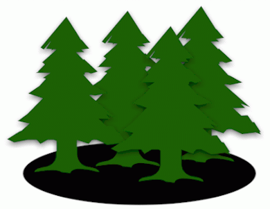 390x301 Elegant Pine Trees Clipart