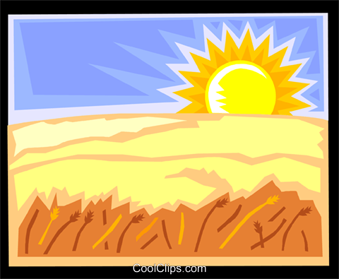 480x395 Sunset Over A Grain Field Royalty Free Vector Clip Art
