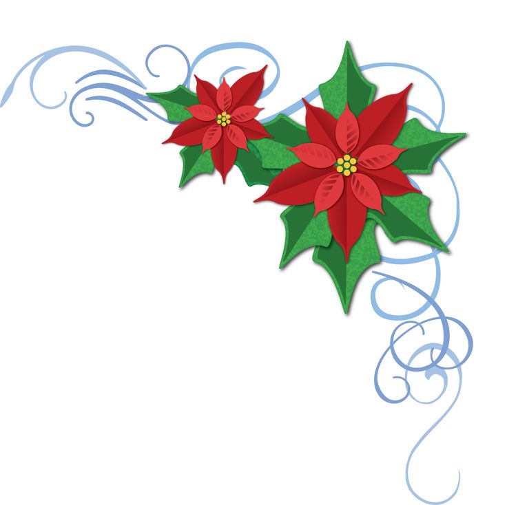 736x734 Poinsettia Clipart Flower Vase Free Collection Download