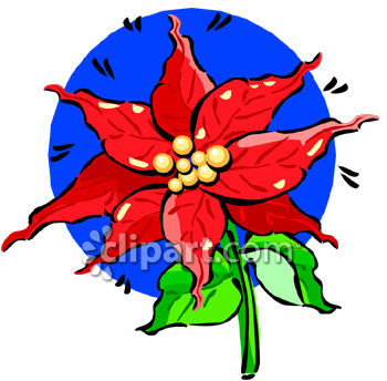 350x344 Poinsettia Flower