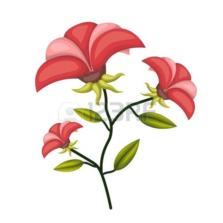 450x450 Poinsettia Plant Clip Art Poinsettias Clip Art Big Garden Of Life