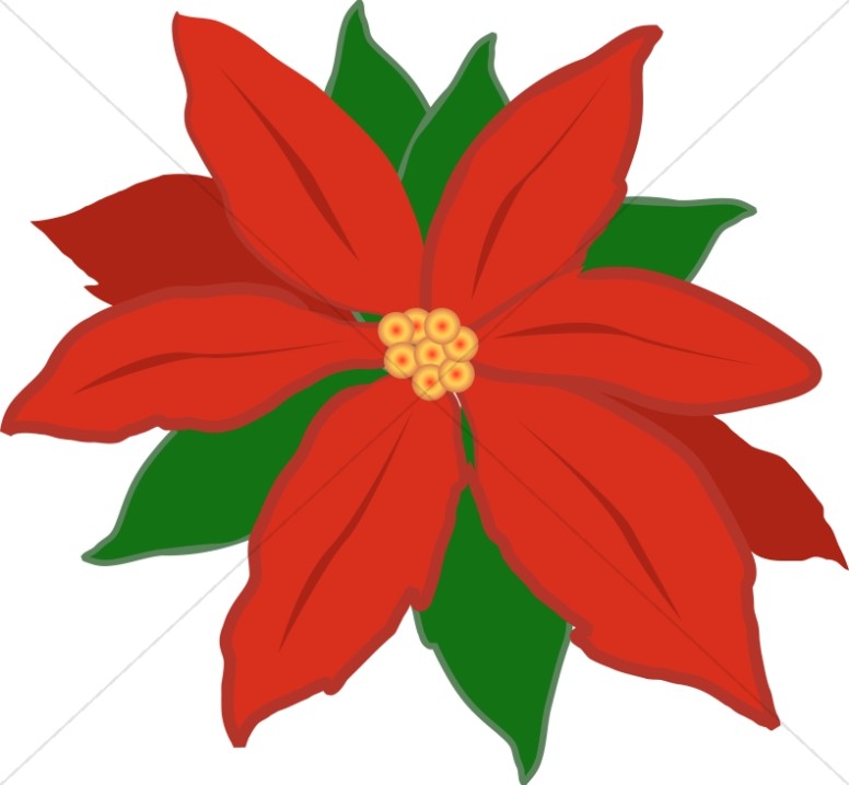 776x717 Red Poinsettia Flower Religious Christmas Clipart