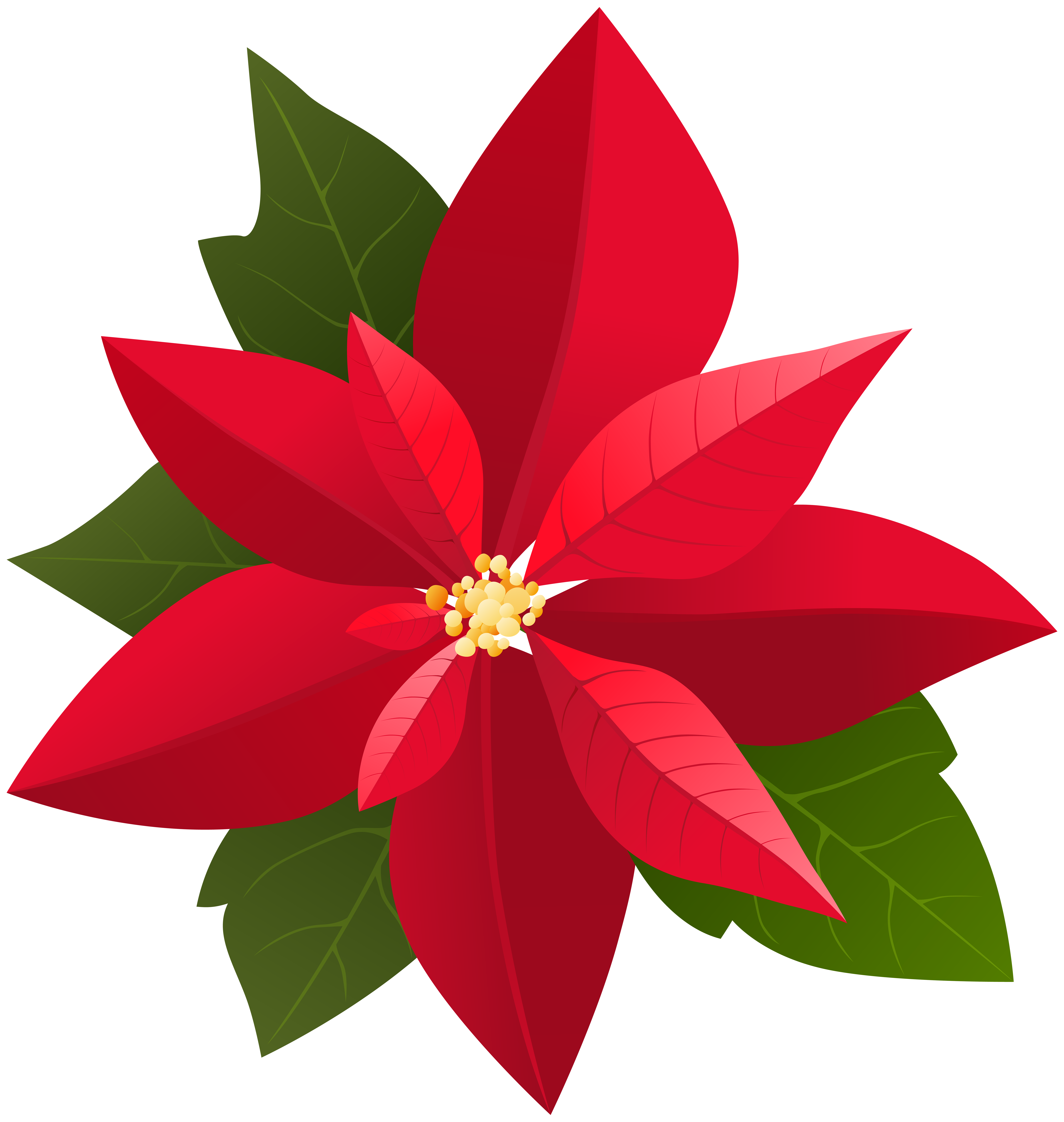 7586x8000 Christmas Poinsettia Png Clip Artu200b Gallery Yopriceville