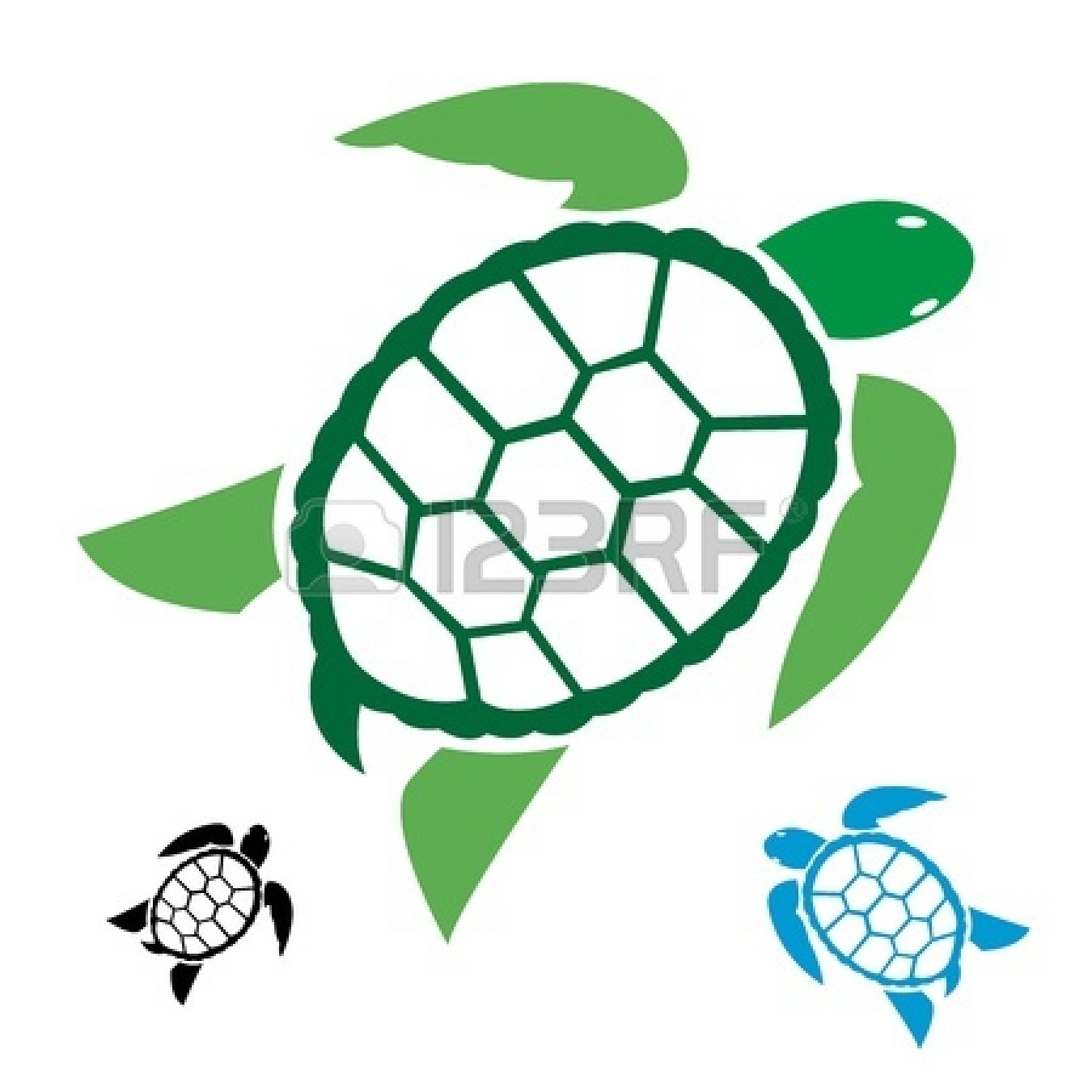 1350x1350 Sea Turtle Clipart