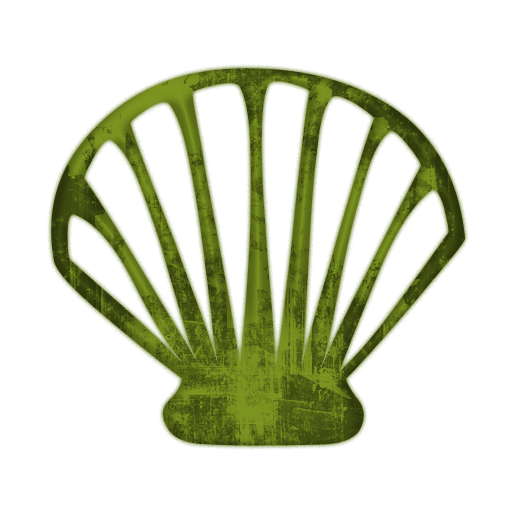 512x512 Green Clipart Seashell