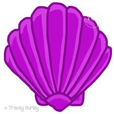 236x236 Seashell Clip Art Sea Shells Clip Art Seashells 2 Image 3 Ref