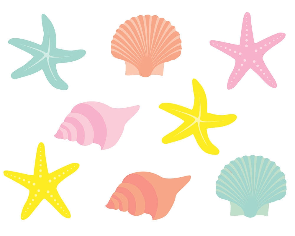 1000x800 Awesome Seashells Clipart Collection