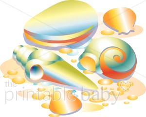 300x240 Colorful Seashells Clipart Beach Baby Clipart