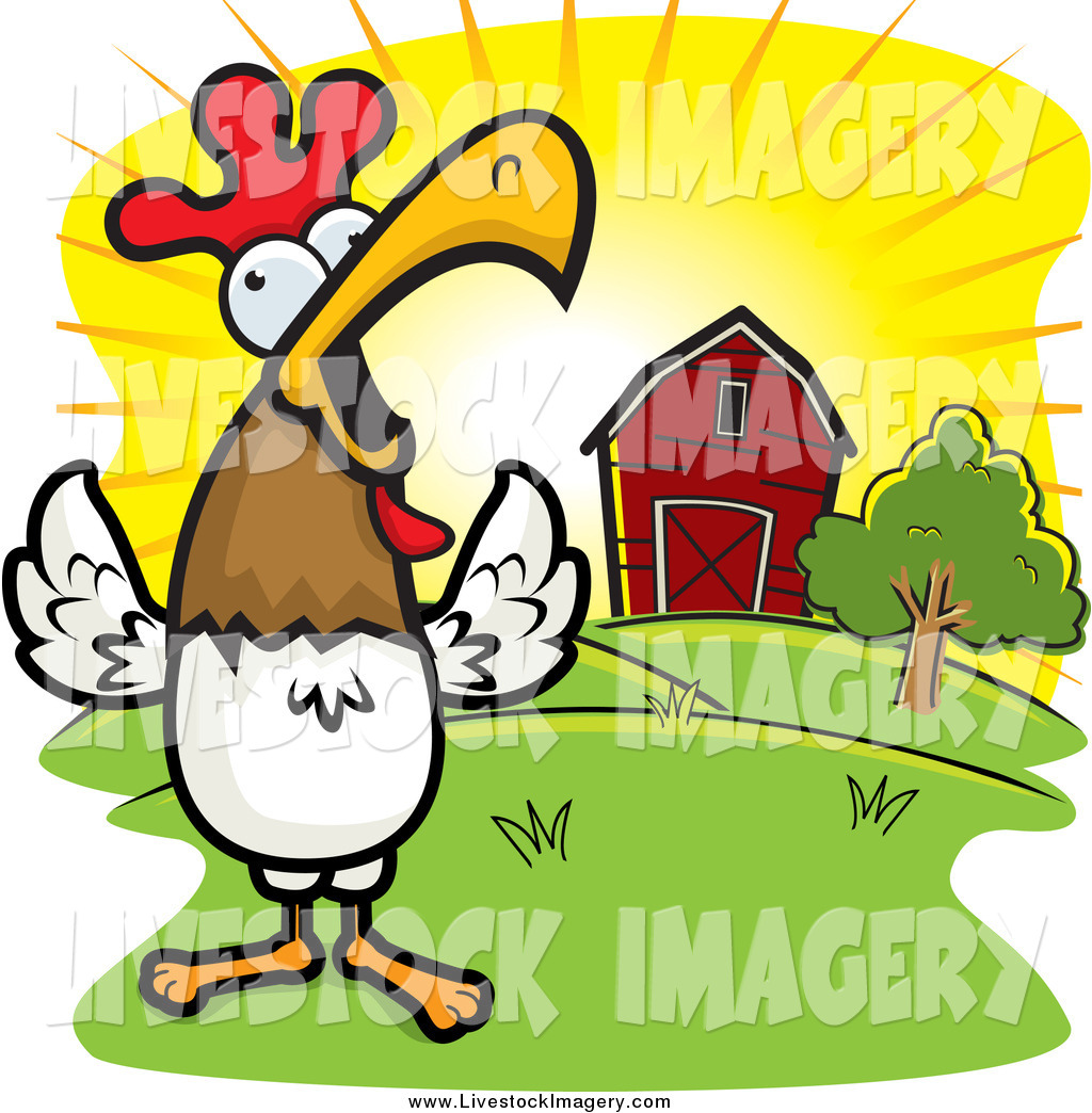 1024x1044 Royalty Free Stock Livestock Designs Of Birds