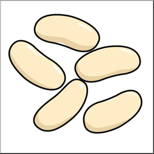 304x304 Clip Art Navy Beans Color I Abcteach