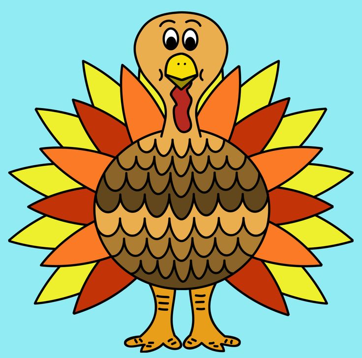 736x728 Informative Color Of A Turkey Clip Free Download Art On Clipart