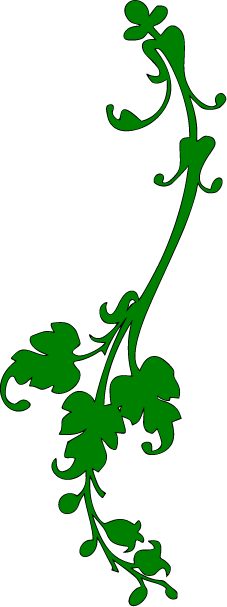 227x607 Vines Transparent Png Pictures