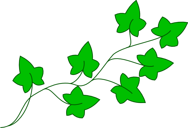600x410 Free Vine Clip Art Pictures