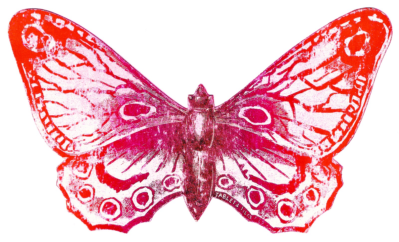 1600x969 Vintage Clipart Butterfly