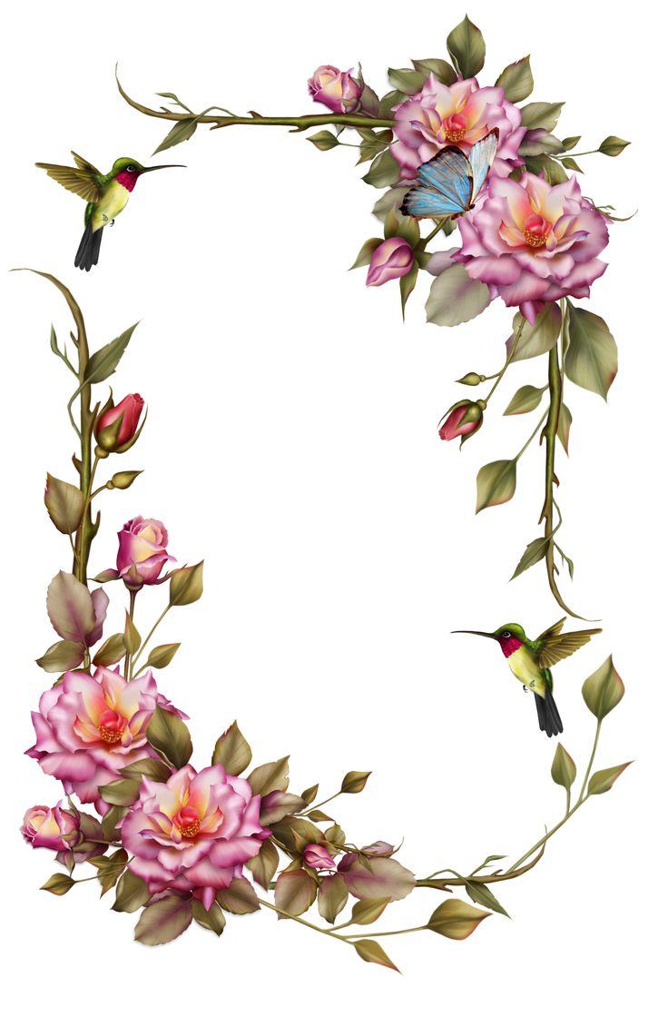 736x1120 Best Hd Vintage Flowers Clip Art Borders Pictures Clip Art