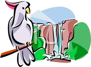 300x222 Royalty Free Clipart Image Cockatoo On Branch In Front