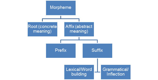 673x343 Morphological Characteristics Of English Words. Word Building