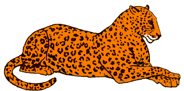 617x306 Leopards Animated Images, Gifs, Pictures Amp Animations