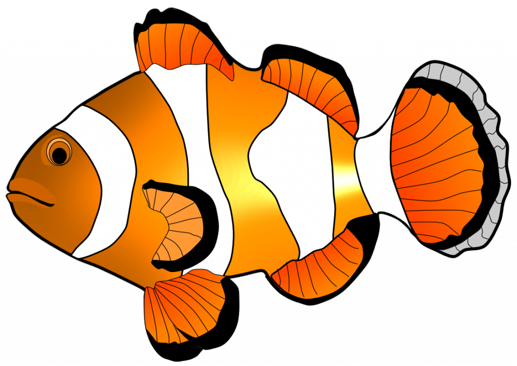 1024x724 Clownfish Clipart Butterfly Fish