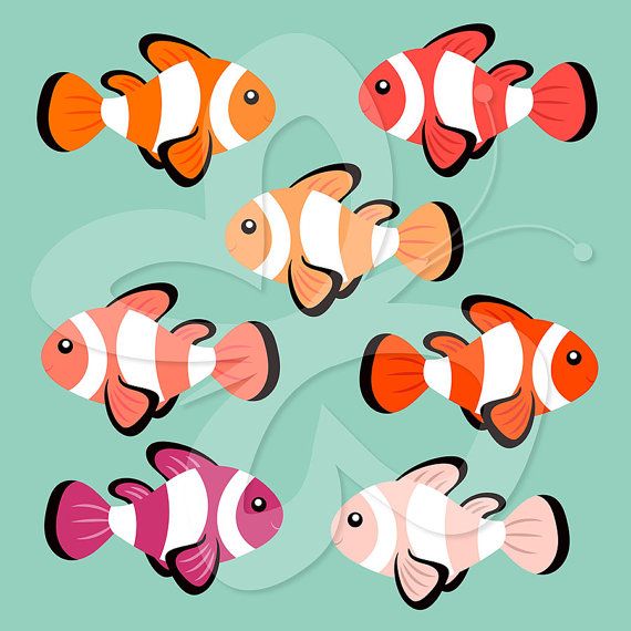 570x570 Clownfish Fish Clipart Clip Art Set By Collectivecreation On Etsy