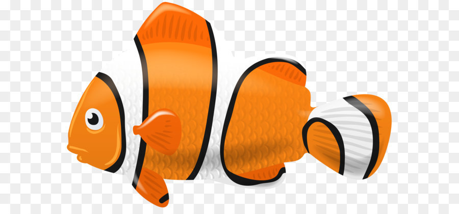 900x420 Fish Diagram Clip Art