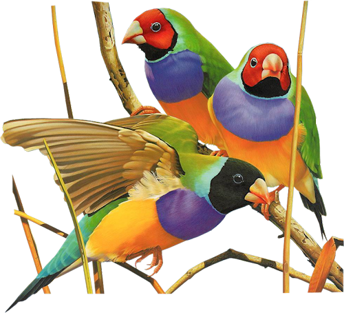 500x454 Clip Art Graphics