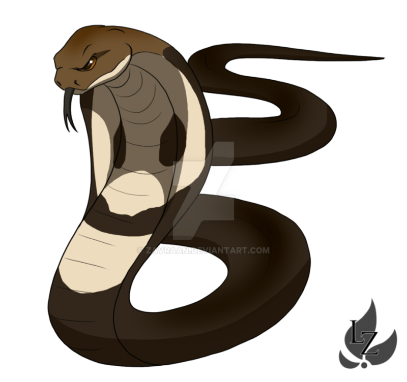 800x752 King Cobra Clipart Viper