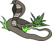 170x132 Top 94 Cobra Clip Art